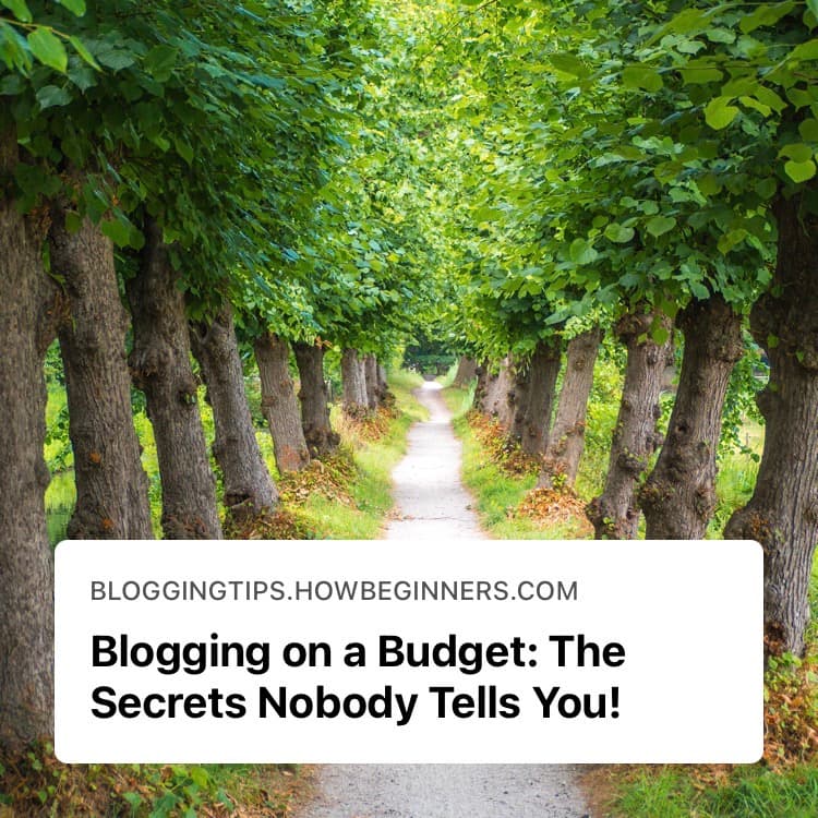 Blogging on a Budget: The Secrets Nobody Tells You!